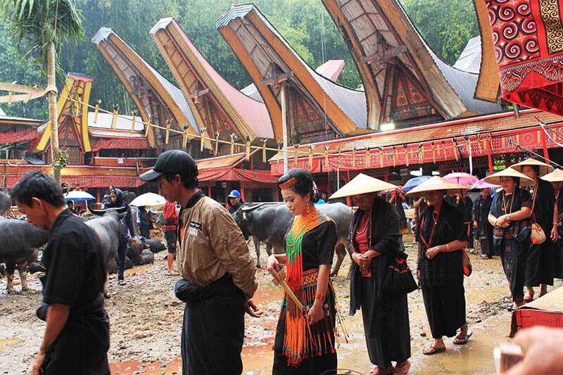 Rambu Solo, Toraja: The Grand Funeral That Attracts Travellers From ...